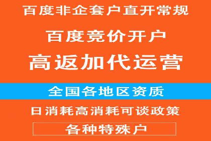百度竞价广告投放策略：案例分析及效果评估